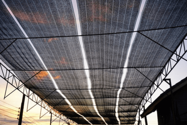 搭建遮陽棚屋頂隔熱