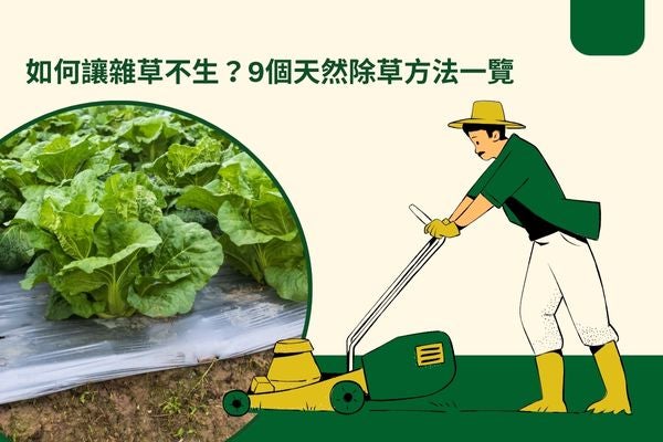 如何讓雜草不生？9個天然除草方法一覽