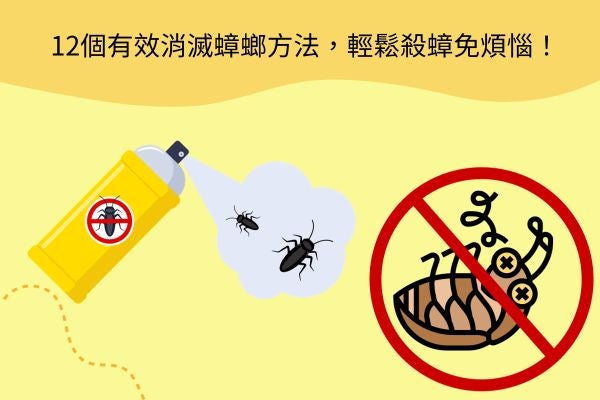 12個有效消滅蟑螂方法，輕鬆殺蟑免煩惱！