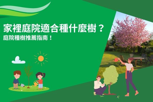 家裡庭院適合種什麼樹？庭院種樹推薦指南！
