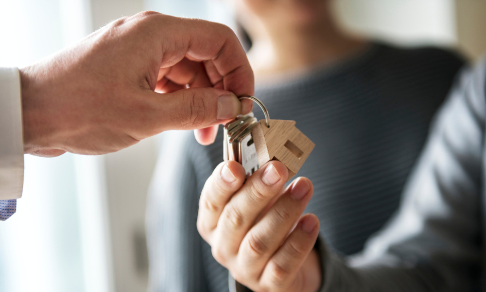 農地過戶給子女免稅攻略，合法節稅方式全解析