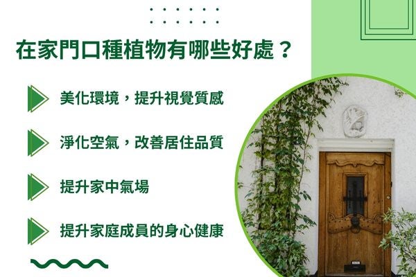 在家門口種植物有哪些好處？