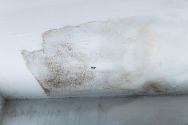 天花板發霉原因