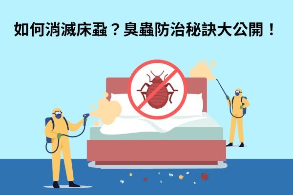 如何消滅床蝨？臭蟲防治秘訣大公開！