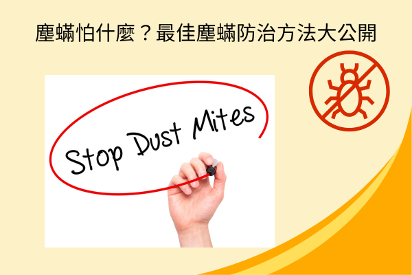 塵蟎怕什麼？最佳塵蟎防治方法大公開！