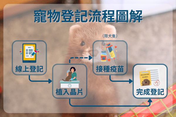 寵物登記流程圖解