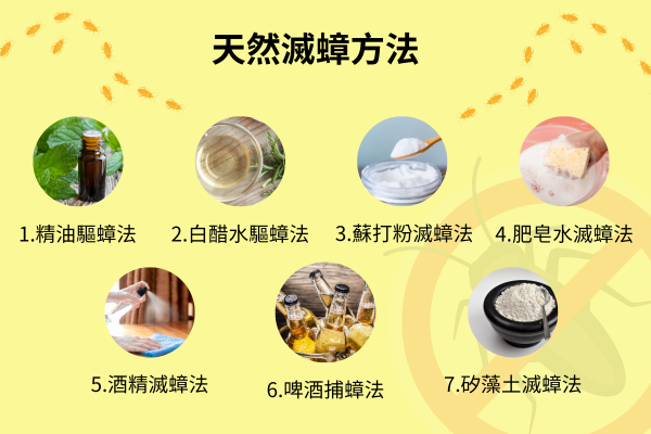 天然滅蟑方法