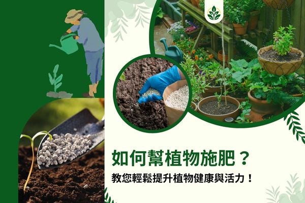 如何幫植物施肥？教您輕鬆提升植物健康與活力