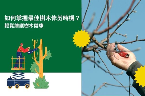 如何掌握最佳樹木修剪時機？輕鬆維護樹木健康