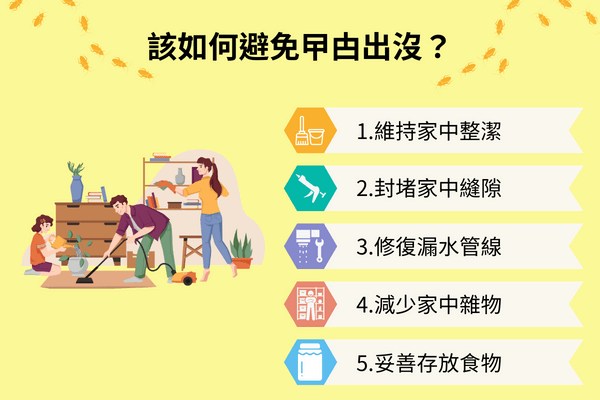 該如何避免曱甴出沒？