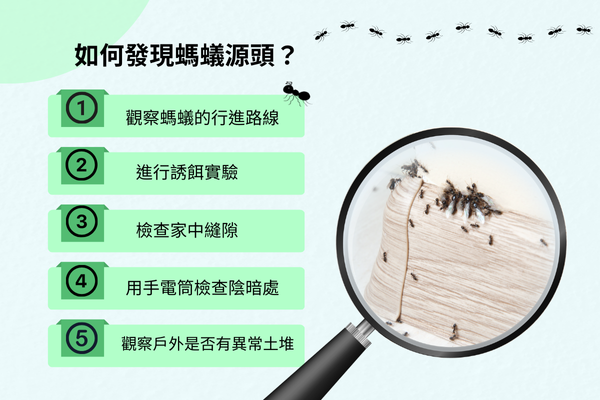 如何發現螞蟻源頭？