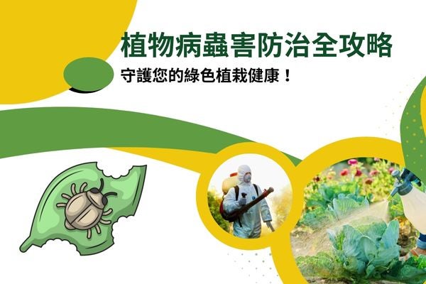 植物病蟲害防治全攻略，守護您的綠色植栽健康！