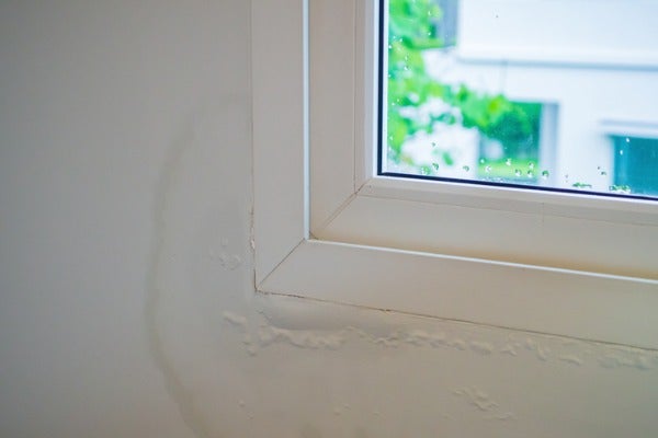 牆身起泡甩皮點處理？5步驟話您知