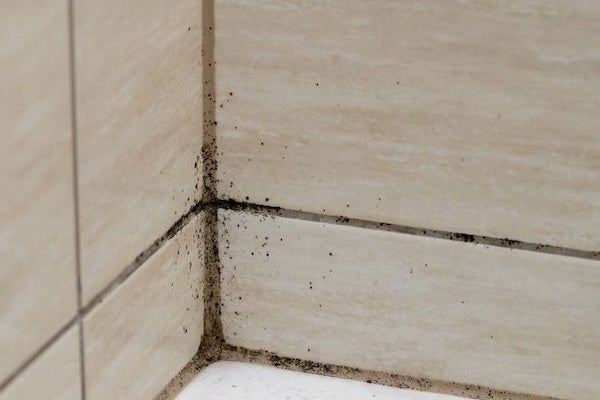 矽利康發霉會對人體有什麼影響？