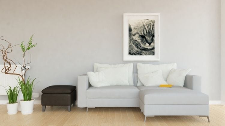 小坪數客廳的淺色系木地板