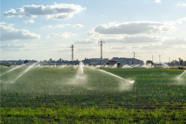 花園自動灑水系統如何運作？