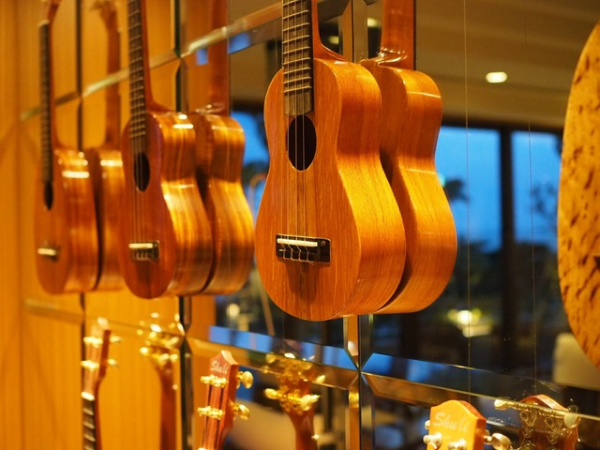Ukulele樂器費用