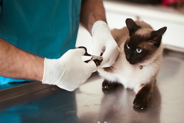 寵物美容價目表