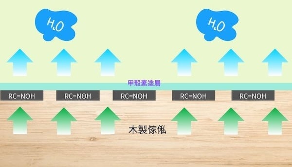 ▲甲殼素除甲醛原理