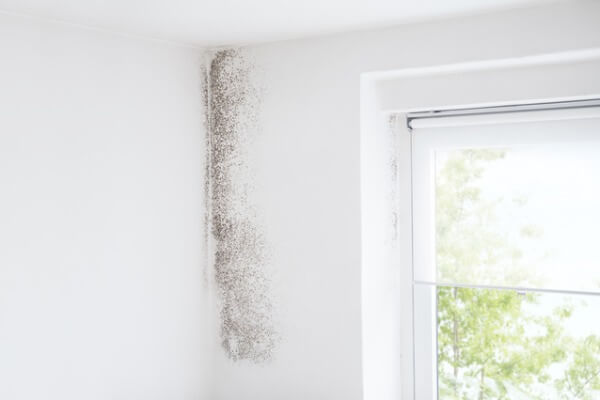 發霉的室內牆面