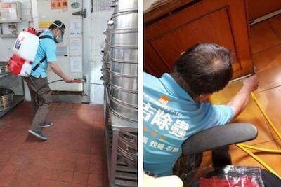 聯吉專業消毒除蟲公司施作案例