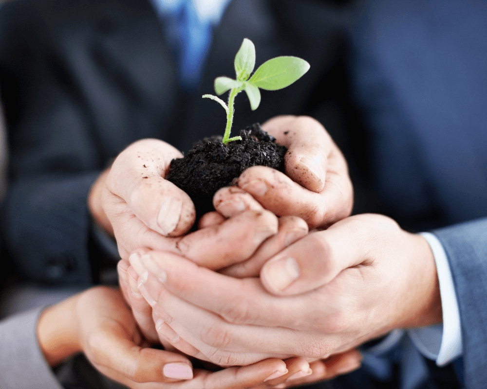 企業永續發展，環境保護不可少