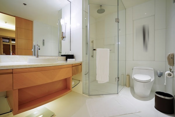 標準乾濕分離廁所