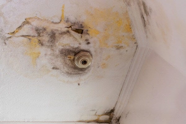 天花漏水發霉
