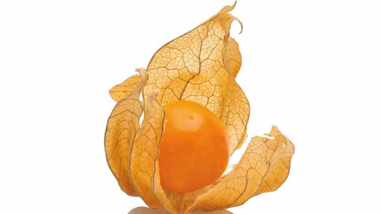 食物攝影, 食物相, 美食攝影, 食物拍攝, 去背