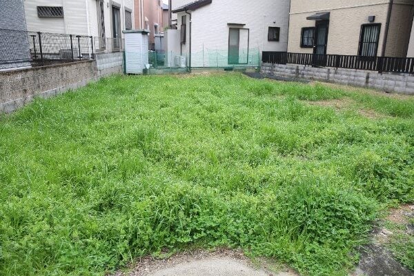 ▲都市內的空地如果雜草叢生將會被政府開罰。