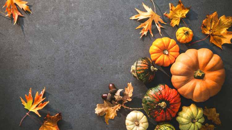 食物攝影, 食物相, 美食攝影, 食物拍攝, 食材裝飾