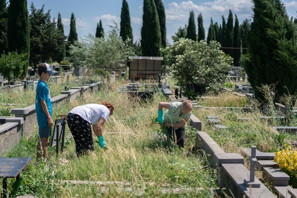 墓園整理服務包含哪些項目？