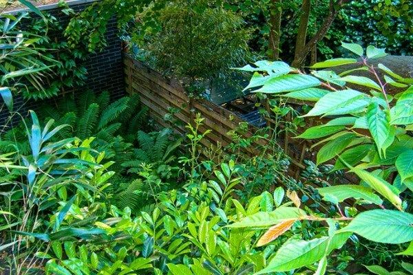 庭園若無定期修剪維護，會破壞原有的美觀造景