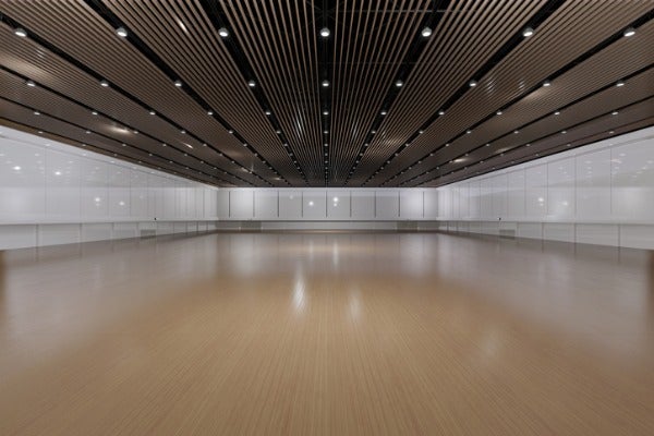 活動中心天花板格柵