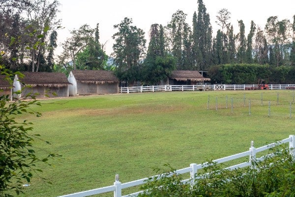 白色木製圍籬牧場