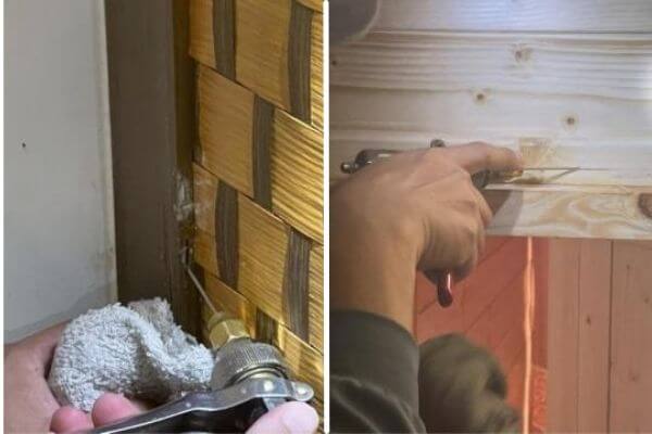 24H專業生物防治施作案例