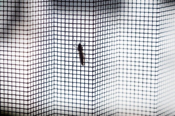 折疊紗窗維修價格：尼龍網折疊紗窗