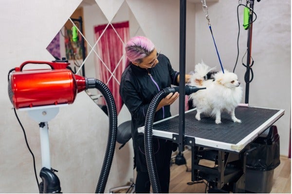 寵物美容店