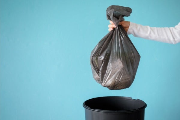 死老鼠屍體該如何處理？