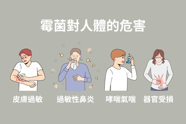 霉菌可能造成的危害