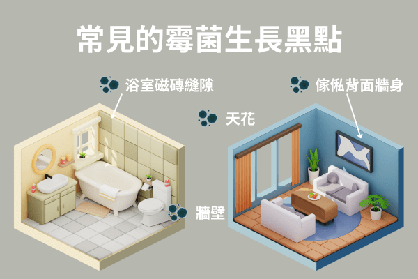 常見的霉菌生長黑點