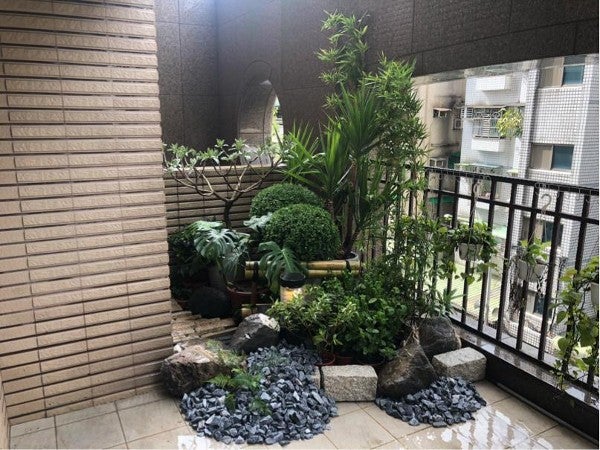 陽台園藝