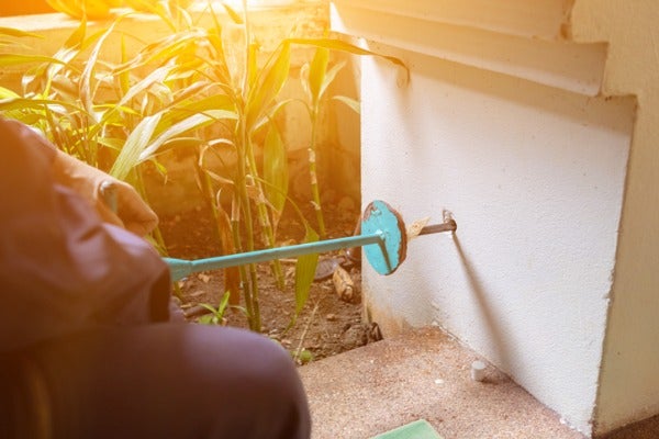 滅白蟻公司如何進行白蟻防治？
