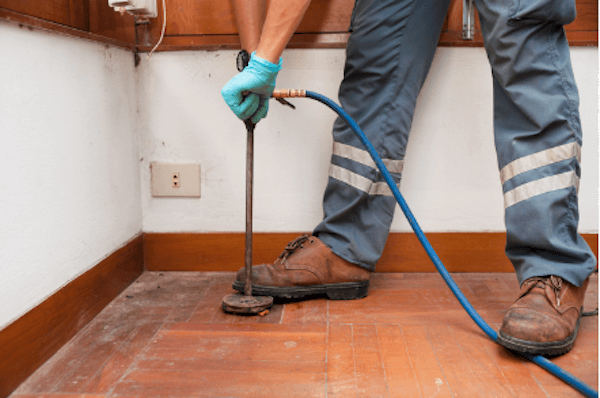 ▲在木板鑽孔灌藥，讓白蟻在啃食過程中遭受感染，最終殲滅蟻群。