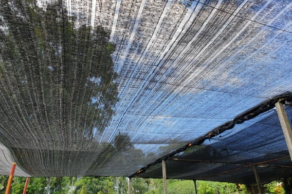 遮陽網能降低下方空間溫度