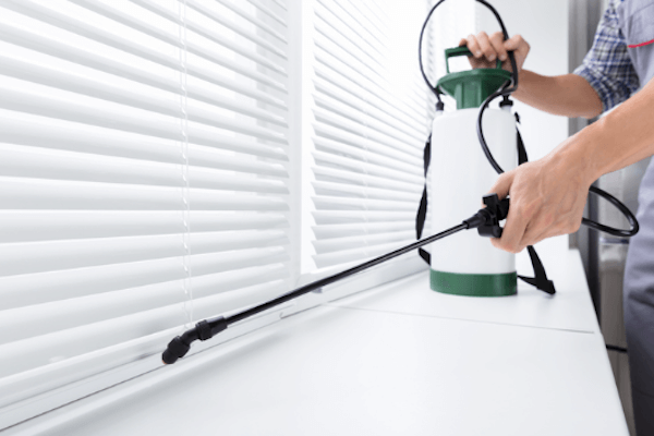 ▲在蟑螂會出現的路徑上噴灑藥劑，讓蟑螂接觸後死亡。