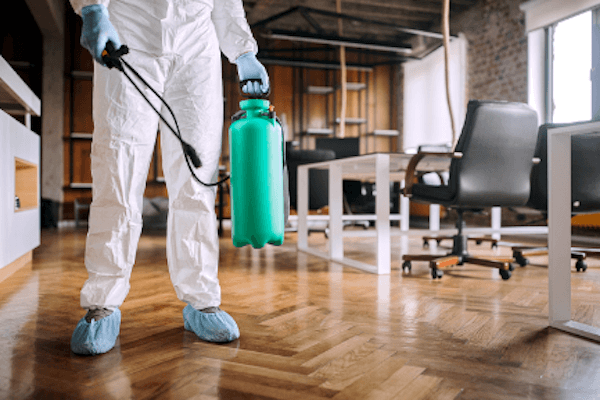 ▲滅蟲公司在地面噴灑藥劑防治跳蚤