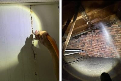 點點蟲病媒醫生施作案例