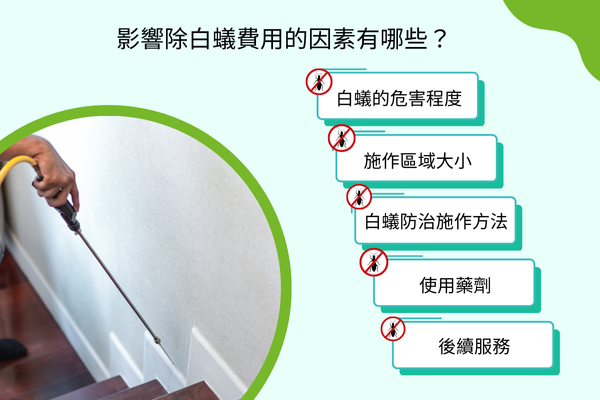 影響除白蟻費用的因素有哪些？