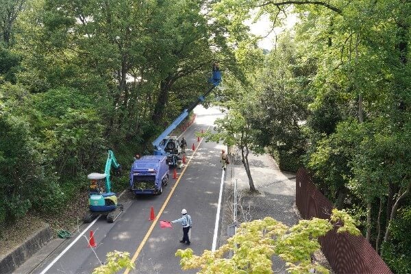 ▲行道樹需要定期修剪以維護行車安全